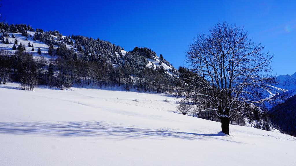 سان-جان-دارف Residence Goelia Les Chalets Des Ecourts المظهر الخارجي الصورة